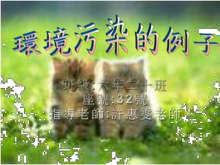 環境污染的例子