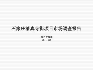 石家庄清真寺街项目市场调查报告