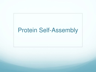 Protein Self-Assembly