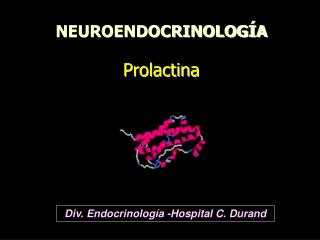 NEUROENDOCRINOLOGÍA Prolactina