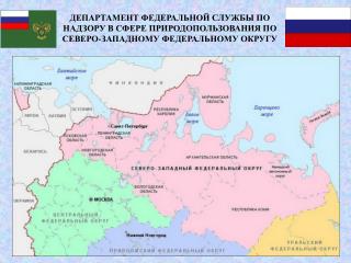 Начальник Департамента: Жигилей Олег Николаевич