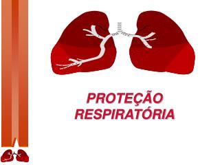 PROTEÇÃO RESPIRATÓRIA