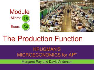 The Production Function