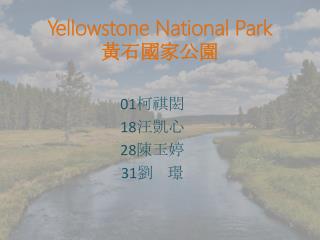 Yellowstone National Park 黃石國家公園