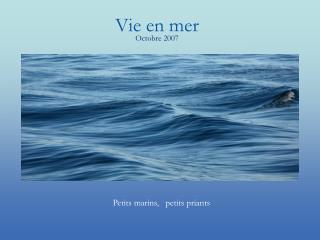 Vie en mer