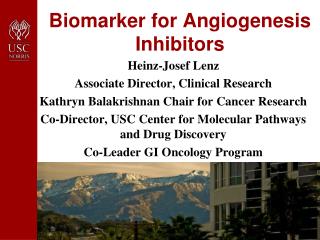 Biomarker for Angiogenesis Inhibitors