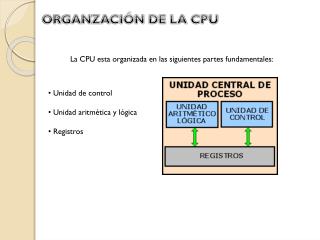 ORGANZACIÓN DE LA CPU