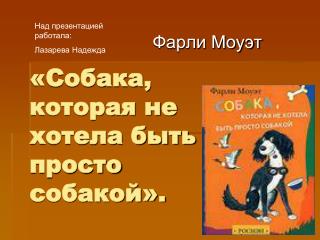 «Собака, которая не хотела быть просто собакой».