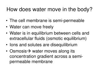 In how many directions does water move in a sponge?