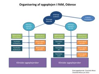 Organisering af sygeplejen i FAM, Odense