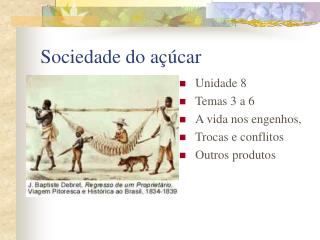 Sociedade do açúcar