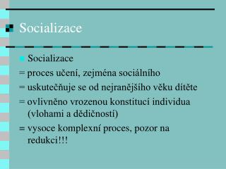 Socializace