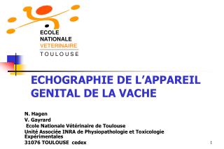 ECHOGRAPHIE DE L’APPAREIL GENITAL DE LA VACHE