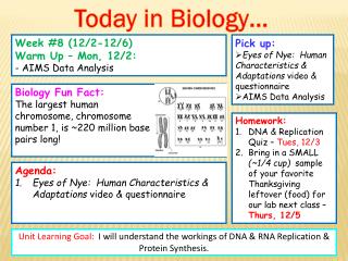 Pick up: Eyes of Nye: Human Characteristics &amp; Adaptations video &amp; questionnaire