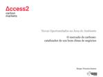 Novas Oportunidades na rea do Ambiente O mercado de carbono: catalizador de um bom clima de neg cios S rg