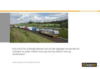 Direktør Strategi og informasjon Bjarne Ivar Wist