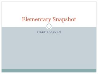 Elementary Snapshot