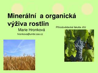 Minerální a organická výživa rostlin