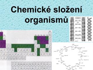 Chemické složení organismů