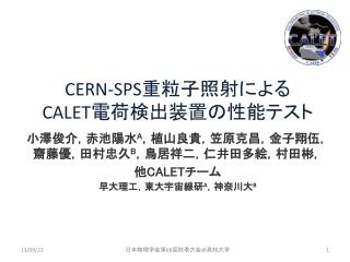 CERN-SPS 重粒子照射に よる CALET 電荷検出装置の性能テスト