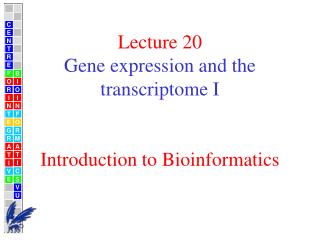 Lecture 20 Gene expression and the transcriptome I Introduction to Bioinformatics
