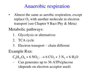 Anaerobic respiration