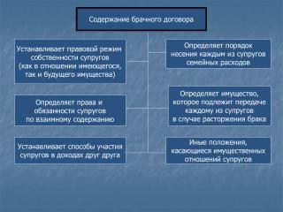 Содержание брачного договора