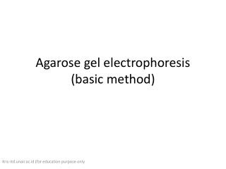 Agarose gel electrophoresis (basic method)