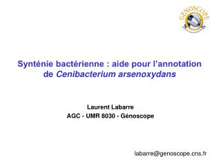 Synténie bactérienne : aide pour l’annotation de Cenibacterium arsenoxydans