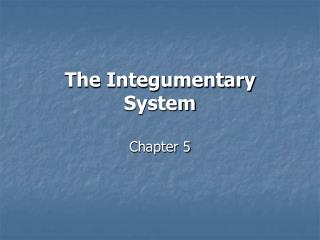 The Integumentary System