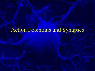 Action Potentials and Synapses