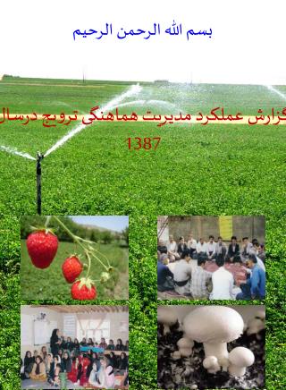 بسم الله الرحمن الرحيم گزارش عملکرد مدیریت هماهنگی ترویج درسال 1387