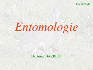 Entomologie