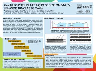 RESULTADOS / DISCUSSÃO