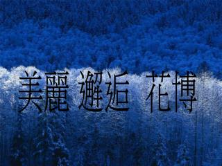 美麗 邂逅 花博