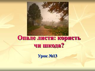 Опале листя: користь чи шкода?