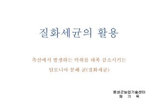 질화세균의 활용