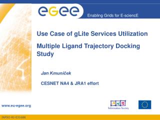 Use Case of gLite Services Utilization . Multiple Ligand Trajectory Docking Study