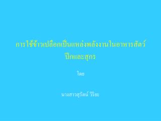 การใช้ข้าวเปลือกเป็นแหล่งพลังงานในอาหารสัตว์ปีกและสุกร
