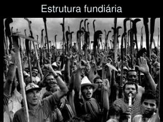 Estrutura fundiária