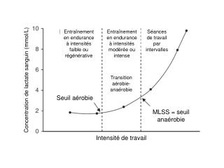 Concentration de lactate sanguin ( mmol /L)