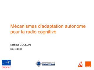 Mécanismes d'adaptation autonome pour la radio cognitive
