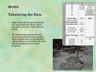 00-028. Tabulating the Data