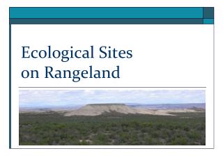 Ecological Sites on Rangeland