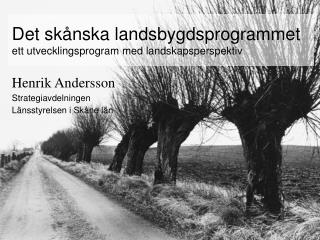 Det skånska landsbygdsprogrammet ett utvecklingsprogram med landskapsperspektiv