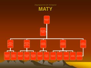 Organigramme de l’entreprise MATY