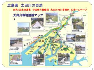 広島県　太田川の自然