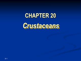 CHAPTER 20