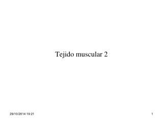 Tejido muscular 2