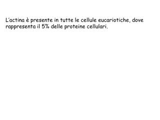 Polarità intrinseca